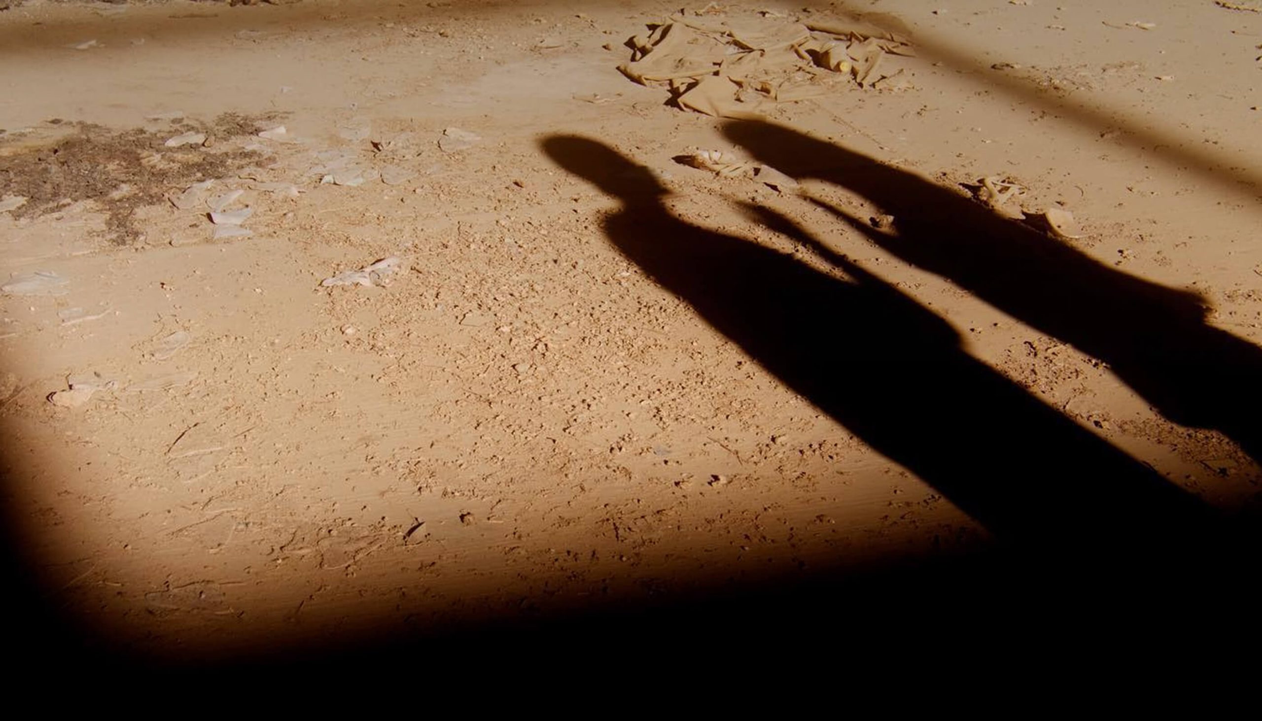 NEUDERTS® HERO IMAGE